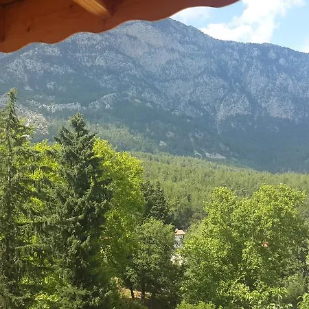 Erdogan Villa
